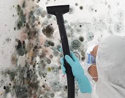  Curtice, OH Mold Removal Services Pros